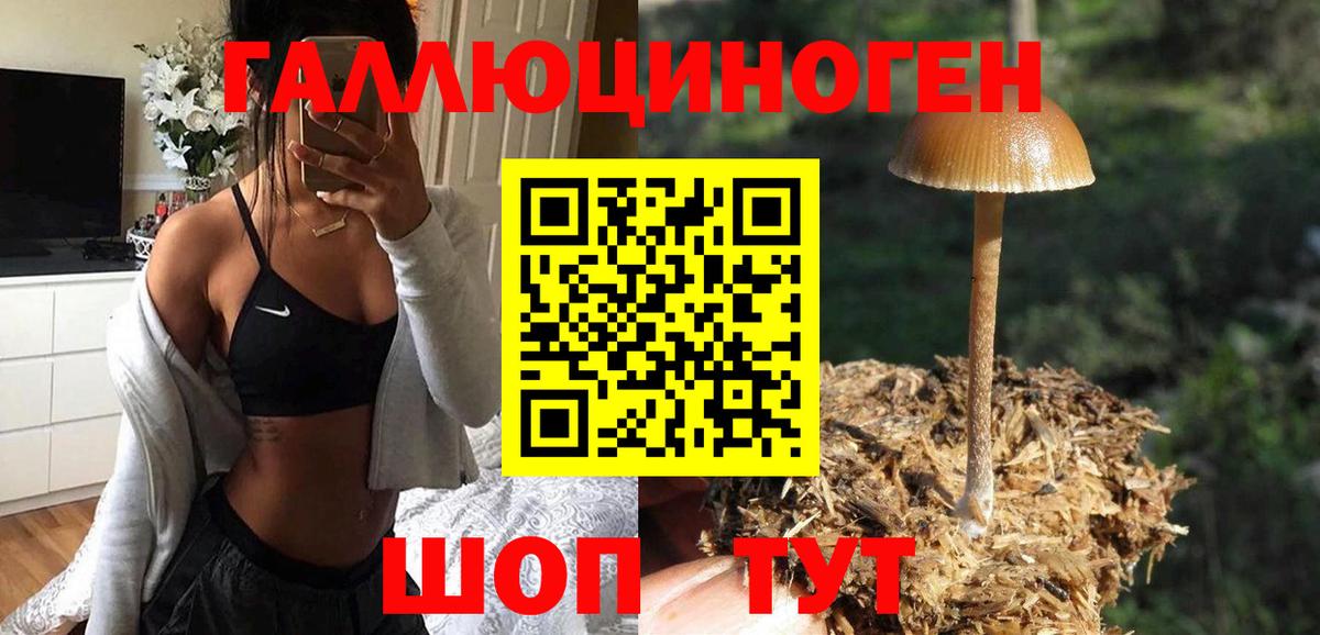 Псилоцибиновые грибы мицелий Лысьва